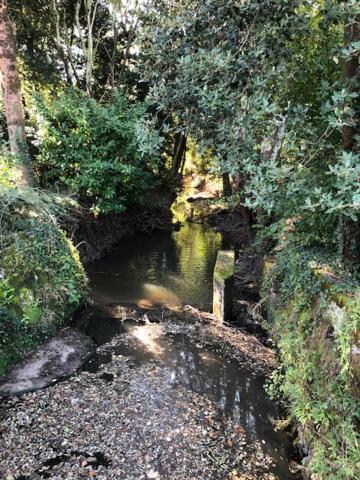 Gite Du Moulin De La Virvee Saint-André-de-Cubzac Eksteriør billede